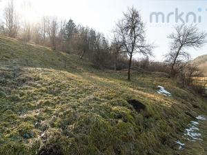 Prodej pozemku pro bydlení, Bušín, 3553 m2