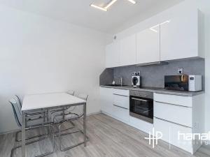 Pronájem bytu 1+kk, Olomouc, Aloise Rašína, 44 m2