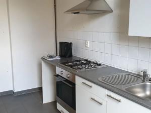 Pronájem bytu 3+1, Teplice, Ruská, 85 m2