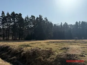 Prodej pozemku pro bydlení, Běštín, 1553 m2