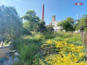 Prodej obchodního prostoru, Dačice, Hradecká, 375 m2