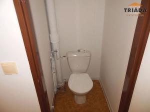 Pronájem bytu 3+kk, Mříčná, 60 m2