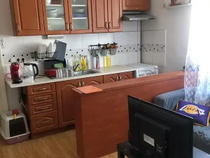Pronájem bytu 1+1, Prostějov, Netušilova, 56 m2