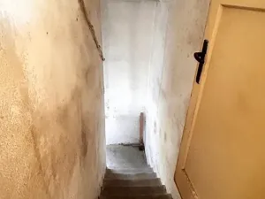 Prodej rodinného domu, Panenské Břežany, Na plácku, 300 m2