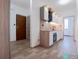 Pronájem bytu 2+kk, Duchcov, V Domkách, 42 m2