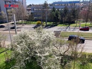 Pronájem bytu 2+kk, Praha - Dejvice, Evropská, 40 m2