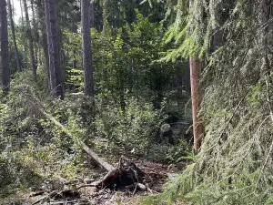 Prodej podílu pozemku, Velký Ratmírov, 3510 m2