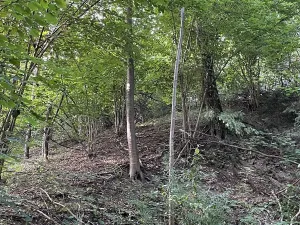 Prodej podílu pozemku, Útěchov, 37614 m2
