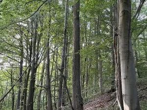 Prodej podílu pozemku, Útěchov, 37614 m2