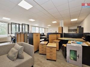 Pronájem kanceláře, Ledeč nad Sázavou, Podolí, 100 m2