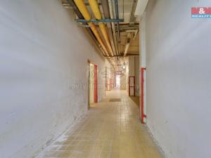 Pronájem skladu, Plzeň, Sousedská, 47 m2