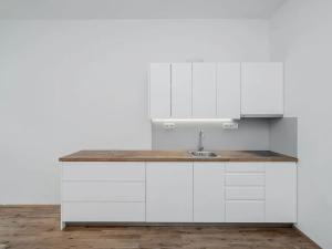 Pronájem bytu 1+kk, Praha - Žižkov, Řehořova, 30 m2