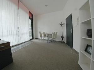 Pronájem obchodního prostoru, Plzeň, Divadelní, 45 m2