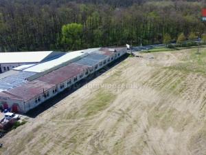 Pronájem výrobních prostor, Velký Osek, Revoluční, 550 m2
