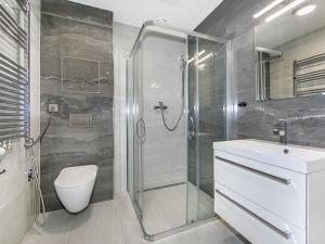 Pronájem bytu 1+kk, Zruč-Senec - Zruč, Sportovní, 62 m2