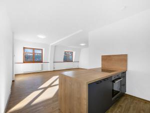 Pronájem bytu 1+kk, Zruč-Senec - Zruč, Sportovní, 62 m2