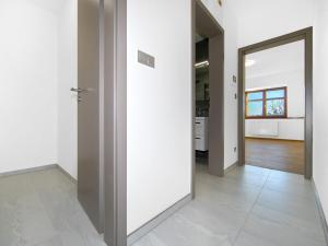 Pronájem bytu 1+kk, Zruč-Senec - Zruč, Sportovní, 62 m2