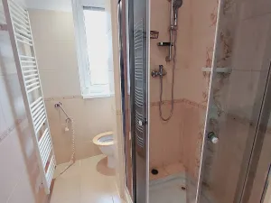Pronájem bytu 2+1, Teplice, Bílinská, 65 m2