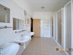 Prodej komerčního pozemku, Heřmánkovice, 40632 m2