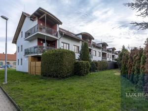 Prodej bytu 2+kk, Brno, Sokolnická, 60 m2