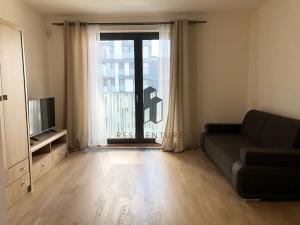 Pronájem bytu 1+kk, Praha - Žižkov, Olšanská, 35 m2