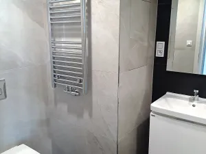 Pronájem bytu 1+kk, Praha - Žižkov, Jana Želivského, 41 m2