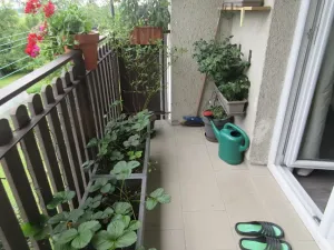Prodej bytu 3+kk, Dolní Hořice, 69 m2