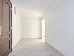 Pronájem bytu 1+1, Praha - Vršovice, Rostovská, 80 m2