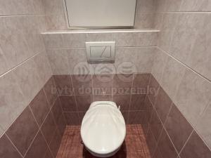 Pronájem bytu 3+1, Ústí nad Labem - Krásné Březno, Žežická, 70 m2