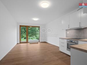 Prodej bytu 1+kk, Slaný, Lázeňská, 34 m2