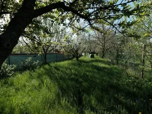 Prodej zahrady, Šumice, 781 m2