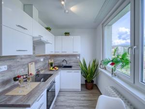 Pronájem bytu 2+1, Chomutov, Kostnická, 58 m2