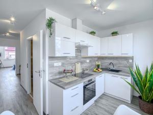 Pronájem bytu 2+1, Chomutov, Kostnická, 58 m2