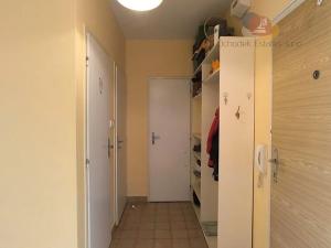 Prodej bytu 1+1, Olomouc, Handkeho, 50 m2