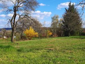 Pronájem zahrady, Střelice, 2391 m2