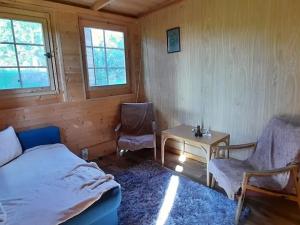 Pronájem zahrady, Střelice, 2391 m2