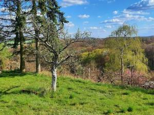 Pronájem zahrady, Střelice, 2391 m2