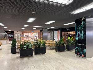 Pronájem obchodního prostoru, Praha - Michle, Želetavská, 460 m2