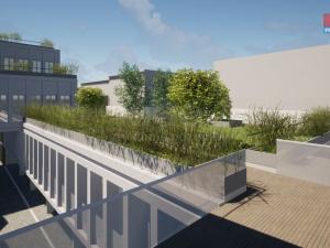 Pronájem obchodního prostoru, Opava - Město, Masarykova třída, 100 m2