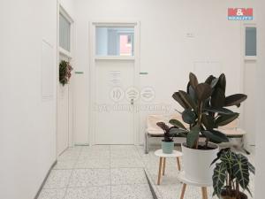 Pronájem obchodního prostoru, Opava - Město, Masarykova třída, 100 m2