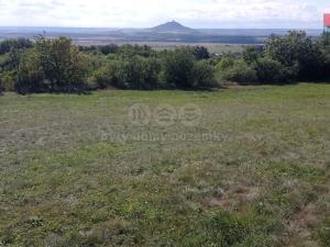 Prodej louky, Jenčice, 13227 m2