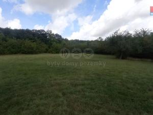 Prodej louky, Jenčice, 12373 m2