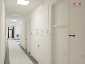 Pronájem restaurace, Opava - Město, Masarykova třída, 40 m2