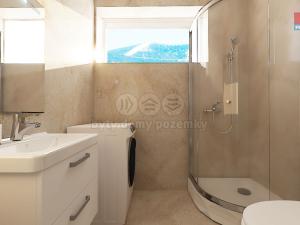 Prodej bytu 2+kk, Králíky - Červený Potok, 40 m2