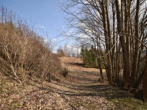 Prodej lesa, Lipová-lázně, 12392 m2