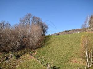 Prodej rodinného domu, Lipová-lázně, 185 m2