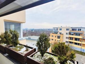 Pronájem bytu 2+kk, Praha - Kyje, Federova, 60 m2