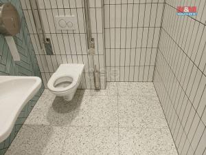 Pronájem obchodního prostoru, Opava - Město, Masarykova třída, 120 m2