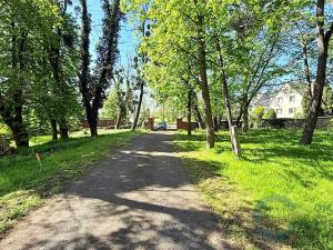 Prodej domu, Holasovice, 3764 m2