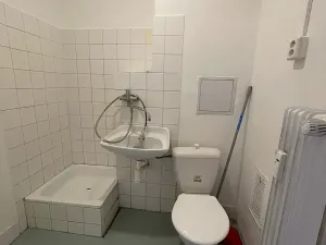 Prodej bytu 1+1, Mladá Boleslav, Václavkova, 30 m2